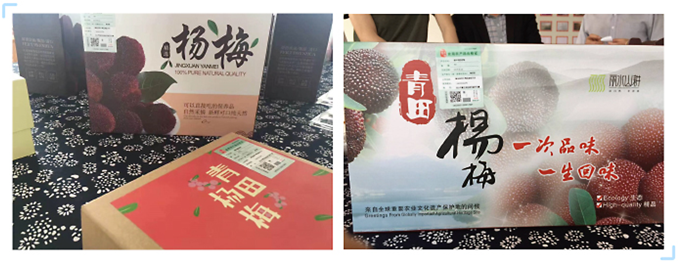 承诺达标合格证应用场景展示，包含杨梅等农产品包装、纸质/吊牌式合格证样本，及手机端多地区合格证查询与溯源界面。