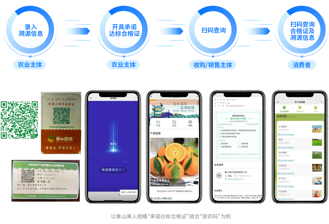 以象山美人柑橘为例，展示浙农码+承诺达标合格证溯源流程：农业主体录入溯源信息→开具合格证→收购/销售及消费者扫码查询，呈现浙农码界面与溯源详情页。